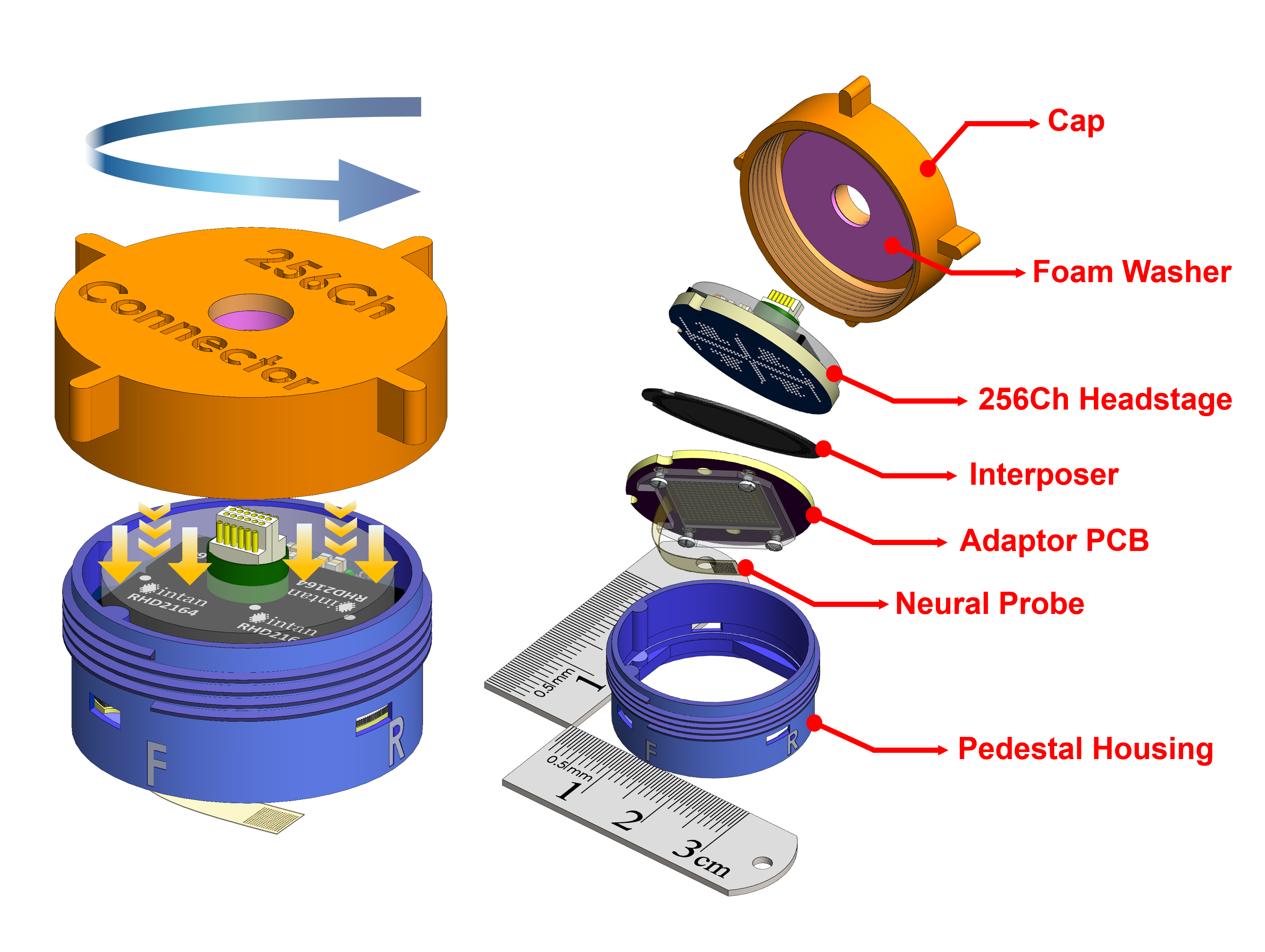 PEDAL-256 Exploded View
